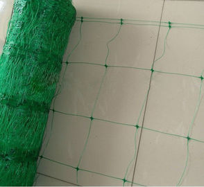 Изготовленное на заказ плетение поддержки завода HDPE, Vegetable сеть поддержки для бобовыеых