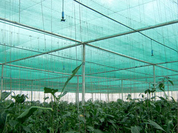 Сеть тени земледелия Солнця Hdpe анти- Uv для зеленого дома для того чтобы защитить заводы