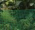 Зеленый fenceNetting/доказательство плетения животное, сетка Hdpe анти- Uv квадратная